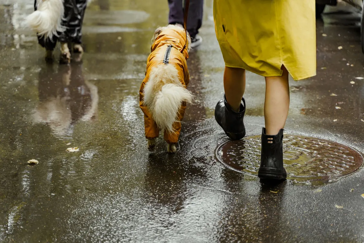 City Commuting in Rain Boots: A Practical Style and Comfort Guide