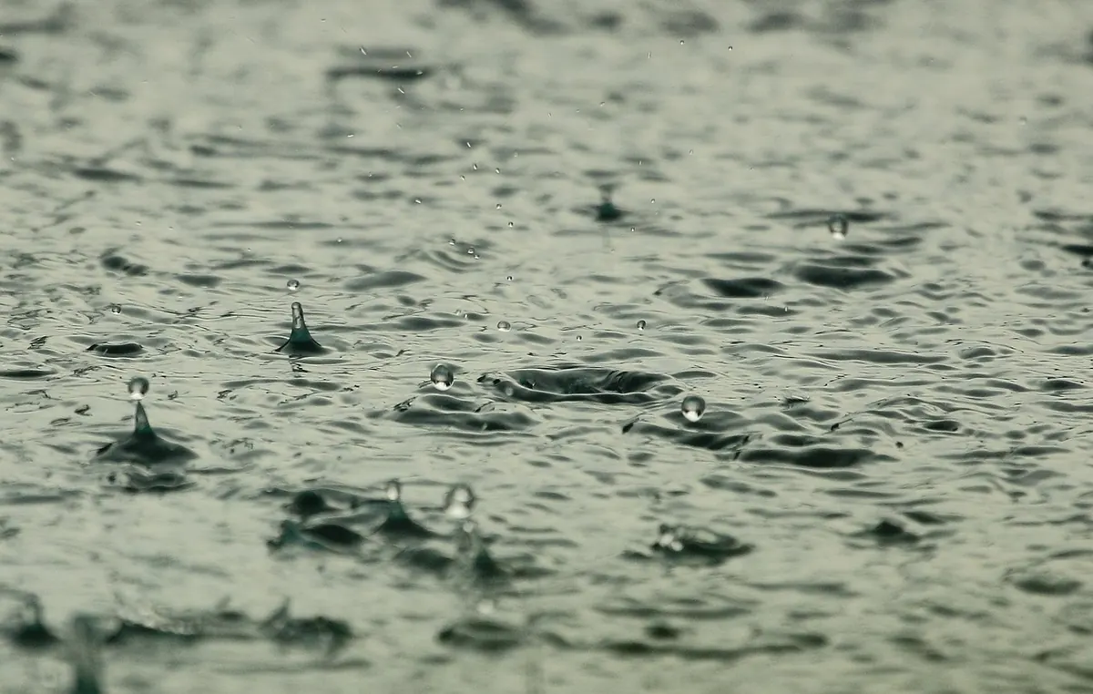 When Do Kids Need Rain Boots Instead of Regular Shoes? A Seasonal Guide